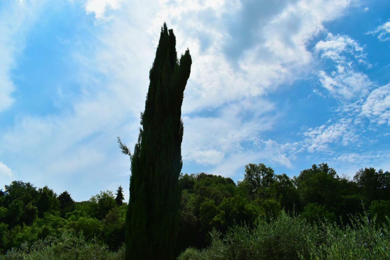 Mezzano In Chianti * Strada in Chianti