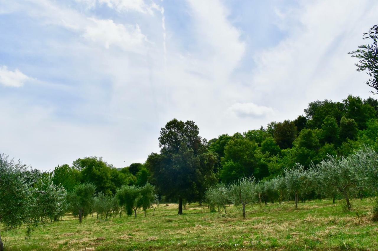 Aparthotel Mezzano In Chianti